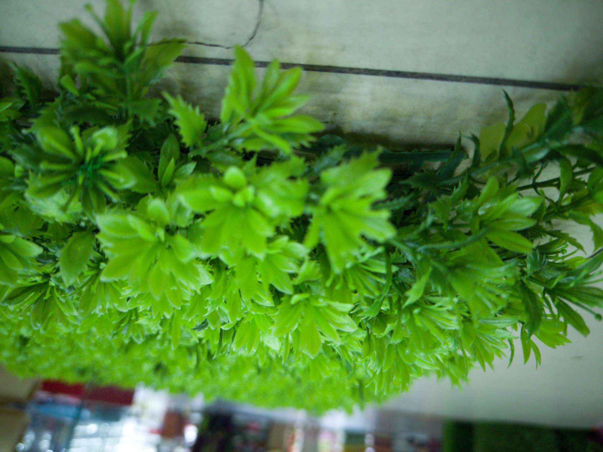 Artificial plant wall, green plant wall, plant wall, decorative wall, flower wall, background wall, interior decoration, balcony, storefront decoration, high-quality artificial grass 05 details Picture