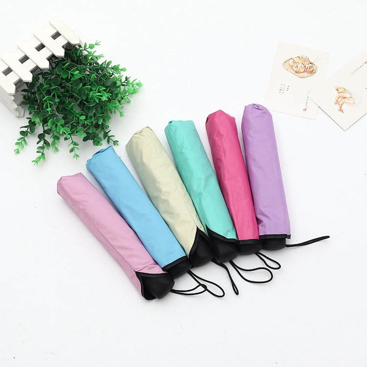 新款遇水开花创意阿波罗伞 遇水花开雨伞 创意遮阳晴雨伞 太阳伞