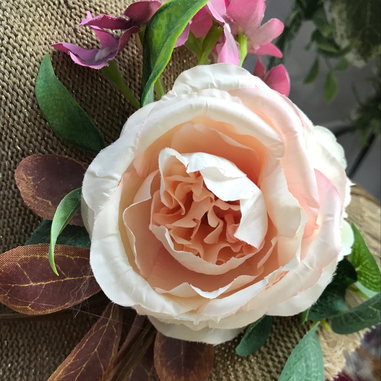 Autumn cap flower details Picture