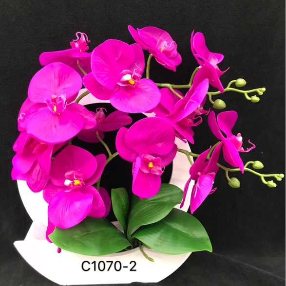 Hanging basket imitation flowers
Butterfly orchid thumbnail