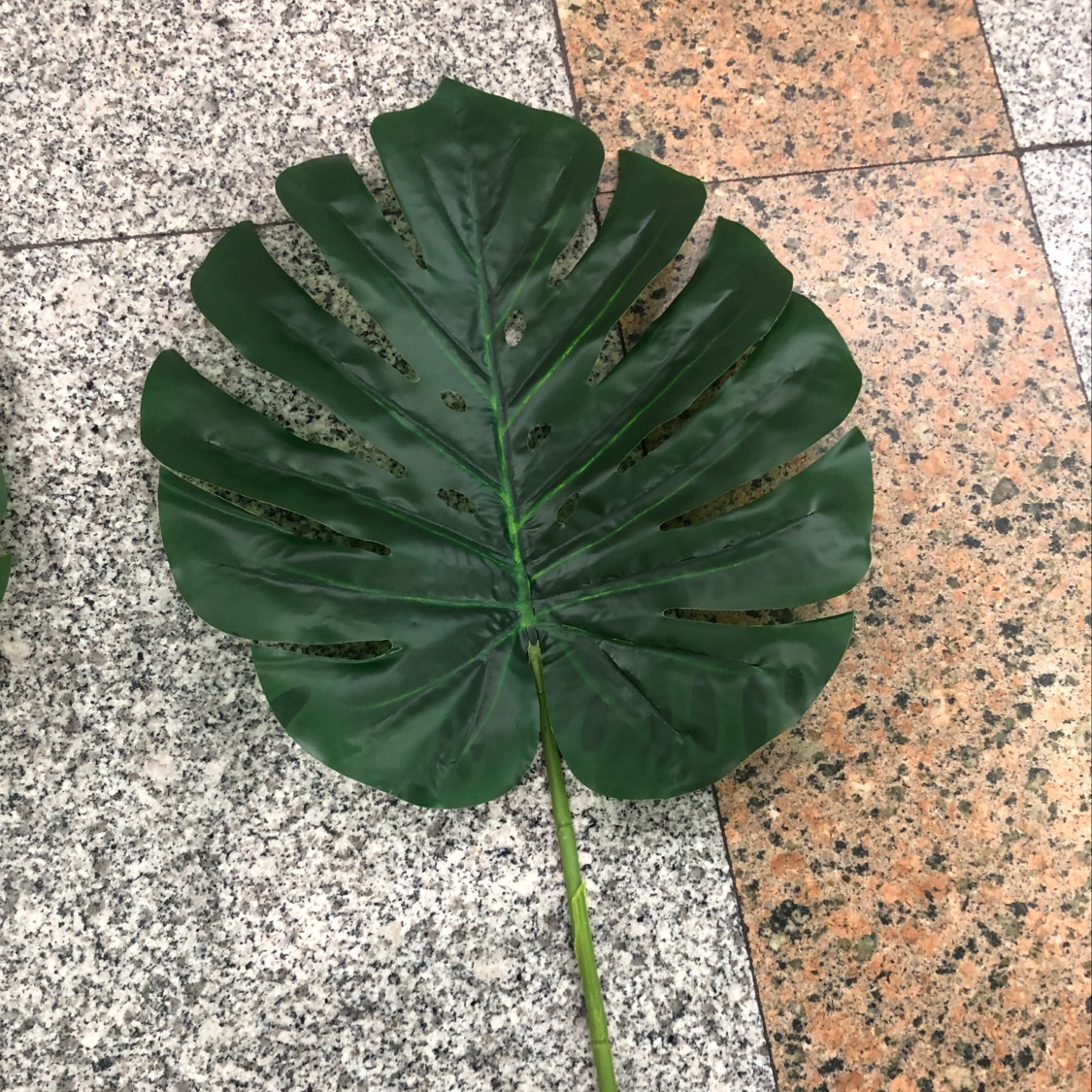 孔龟贝2号长杆