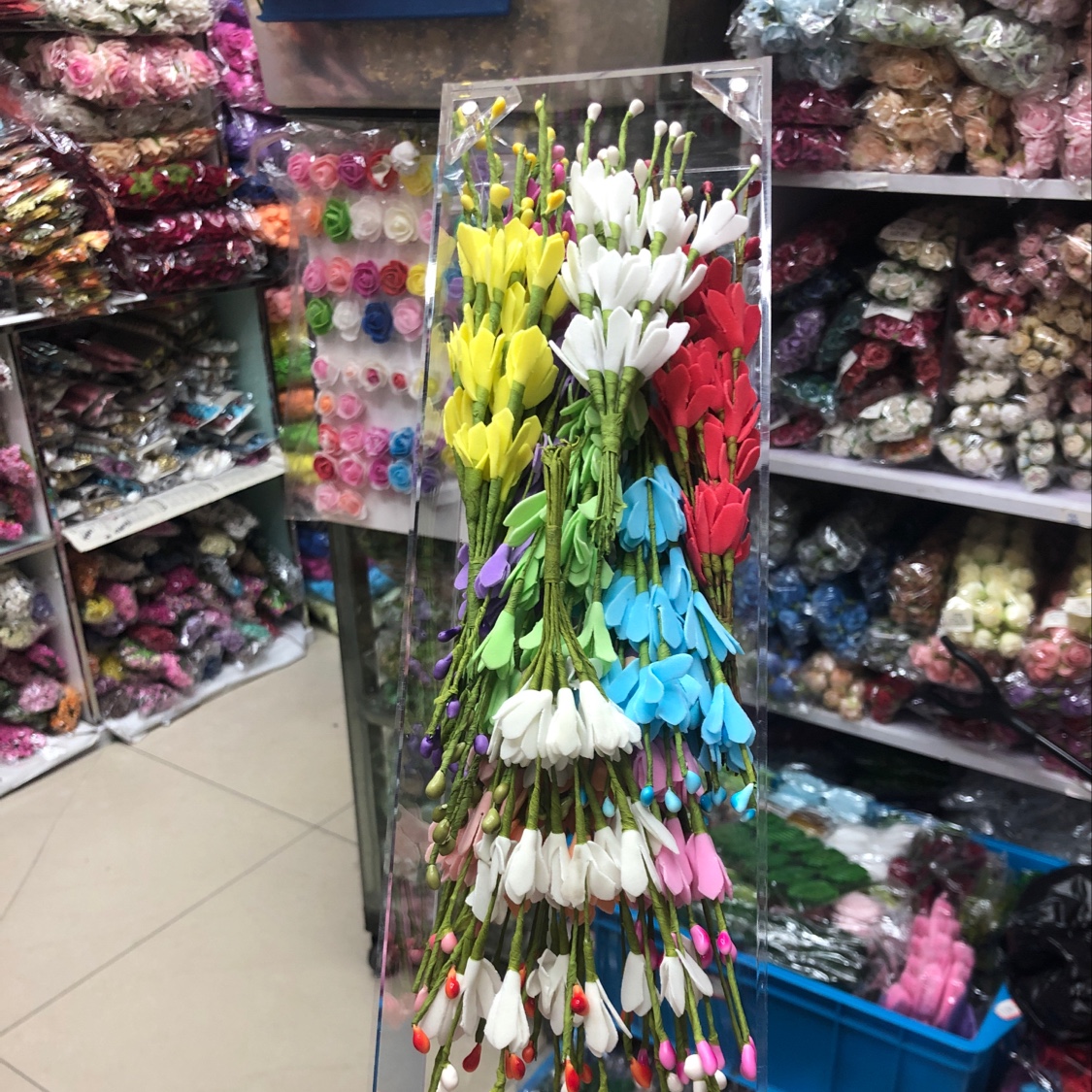 Small winter jasmine thumbnail