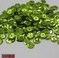 厂家直销 普通PVC工艺品装饰DIY珠片6mmF混色珠片定做bead slice白底实物图
