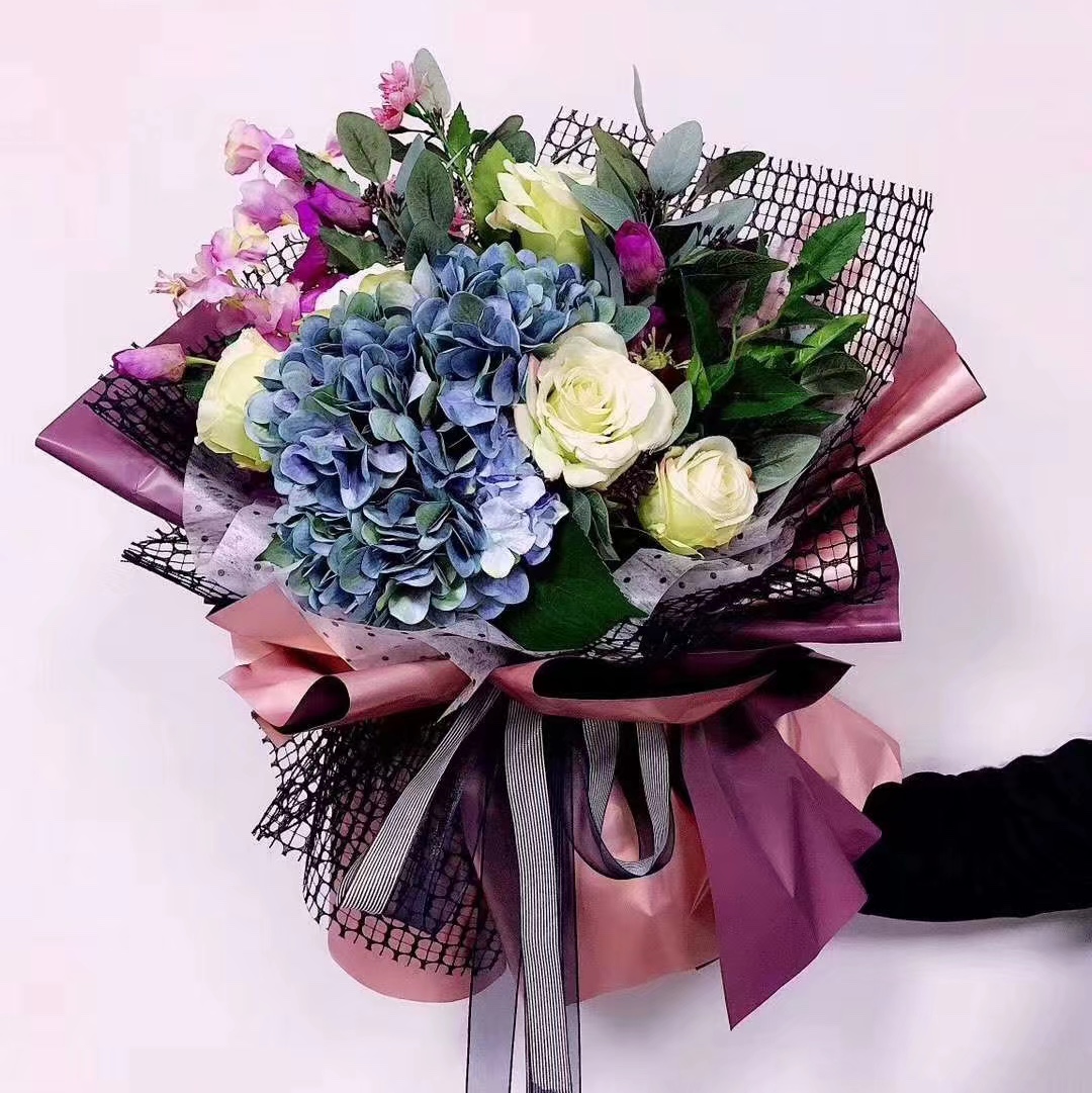 田心网48×5y白底实物图