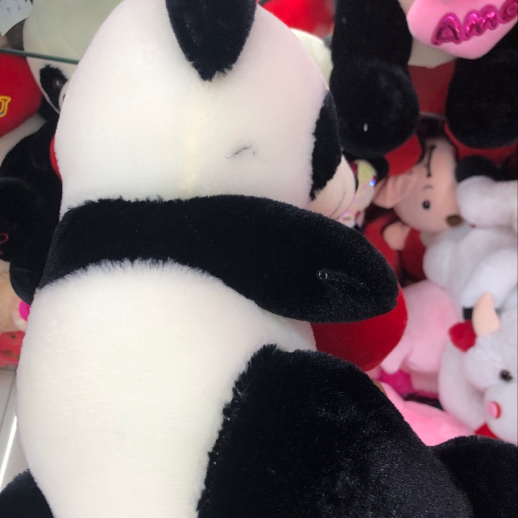 A 30cm panda hugging its heart with embroidered letters Specification image