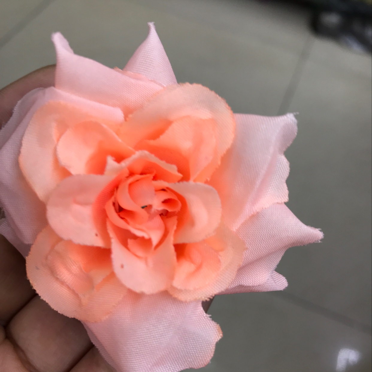 新角美
