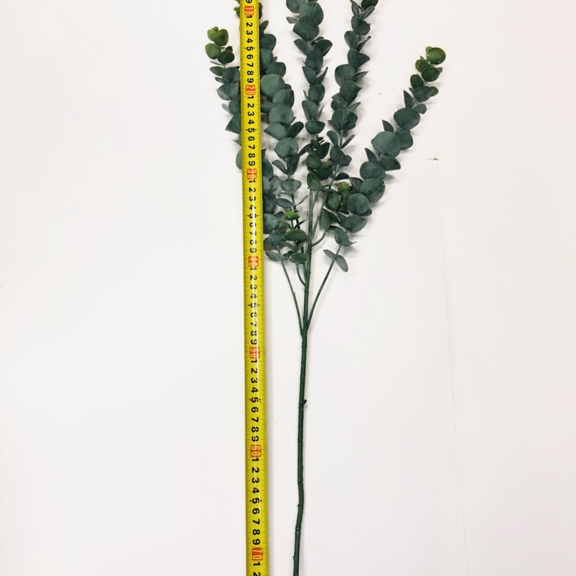 Simulated eucalyptus branches, money plant, eucalyptus wedding, European and American style eucalyptus bonsai, pennywort details Picture