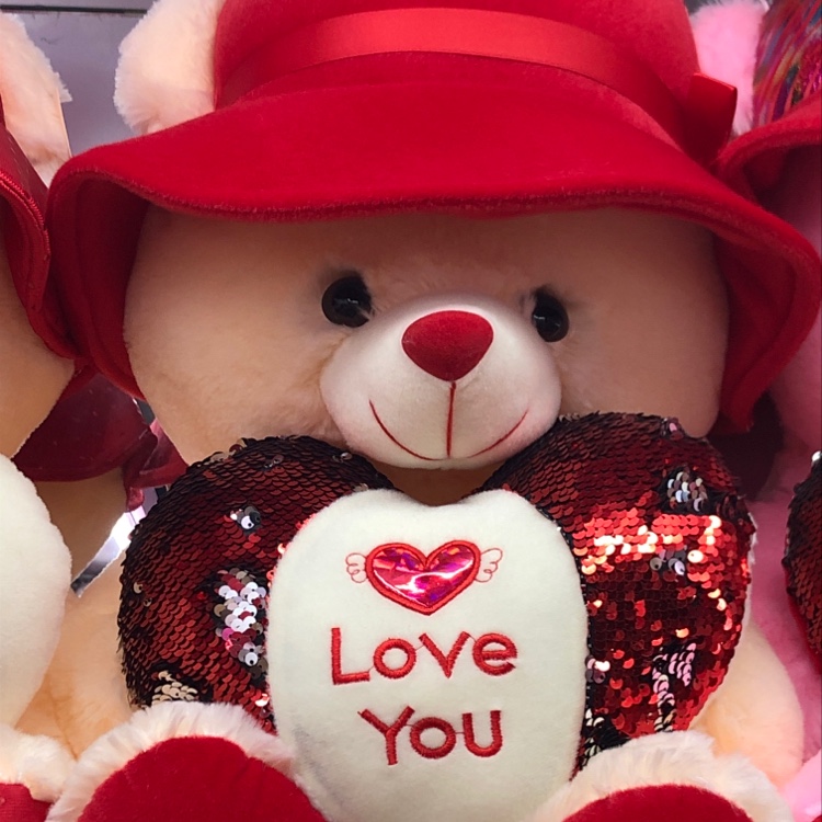 50cm tall, wearing a hat and holding an embroidered heart-shaped bear