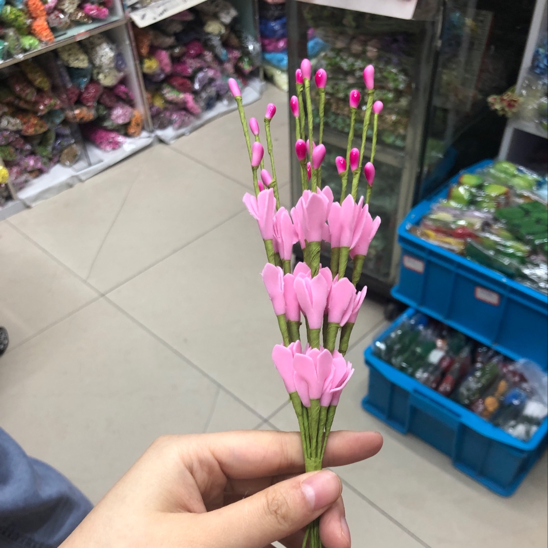 Small winter jasmine details Picture