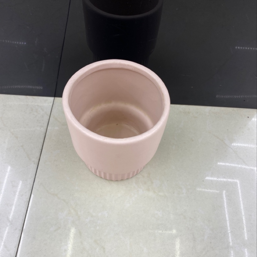 Fresh and light succulent flowerpots are sold in bulk by the box details Picture