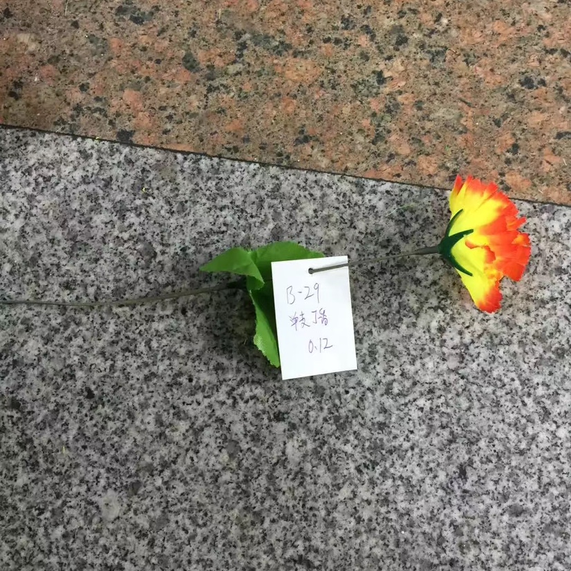 Одна веточка гвоздики