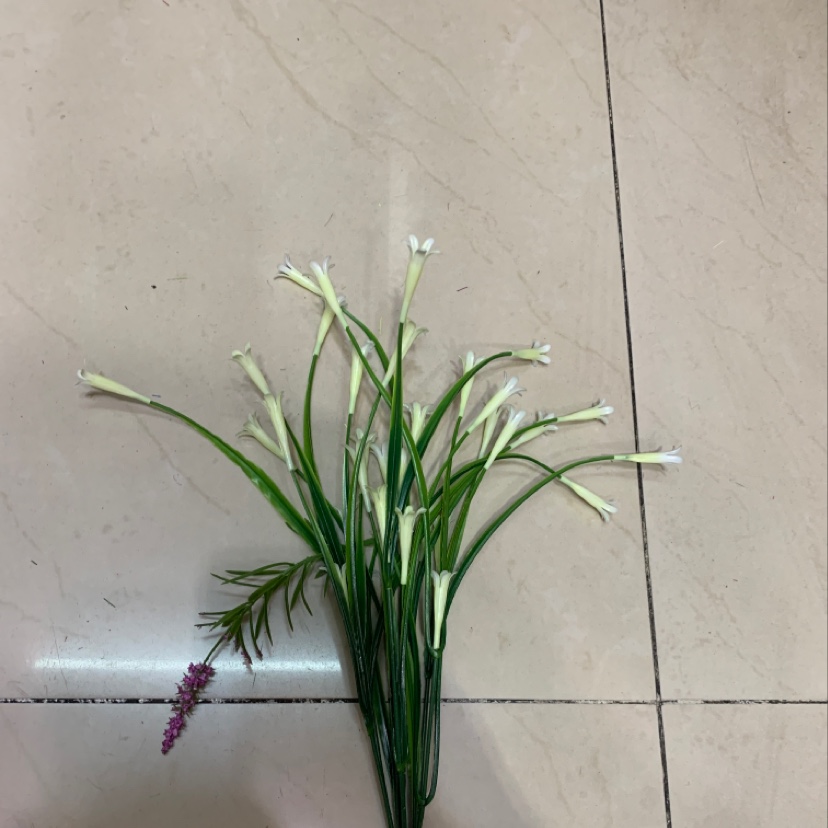 长草