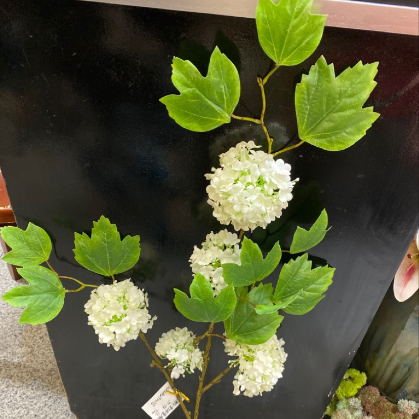 Five forks of fruit snowball drooping details Picture