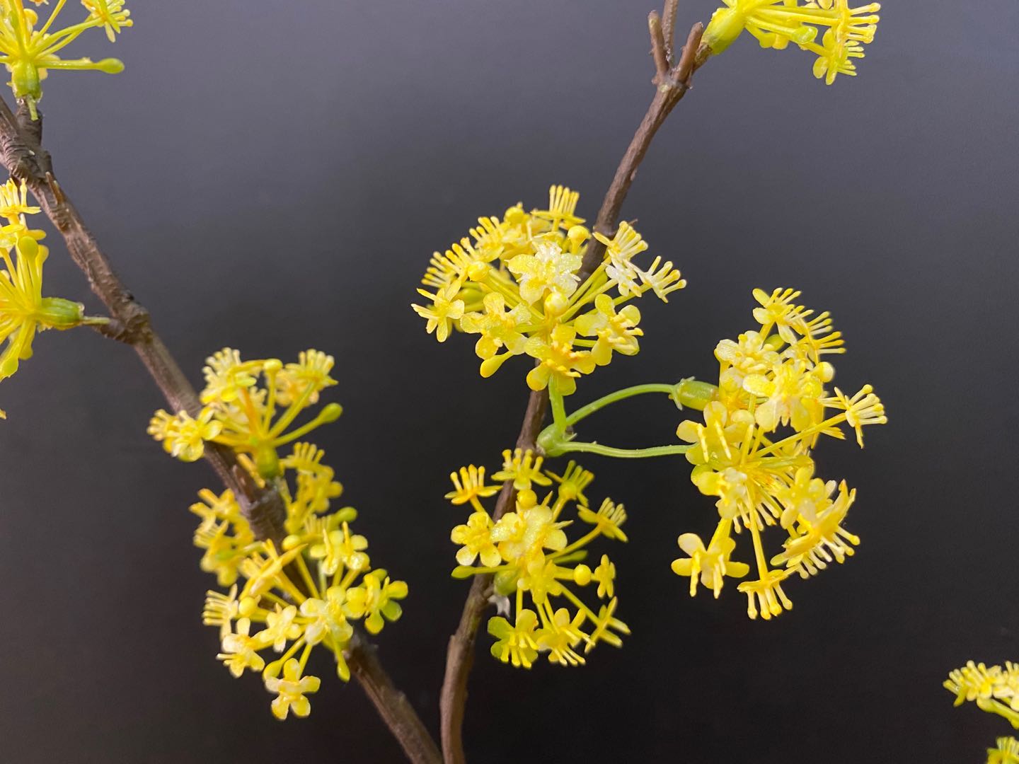 义乌好货桂花厂家直销小碎花家居摆设人造花客厅电视柜装饰假花详情图13