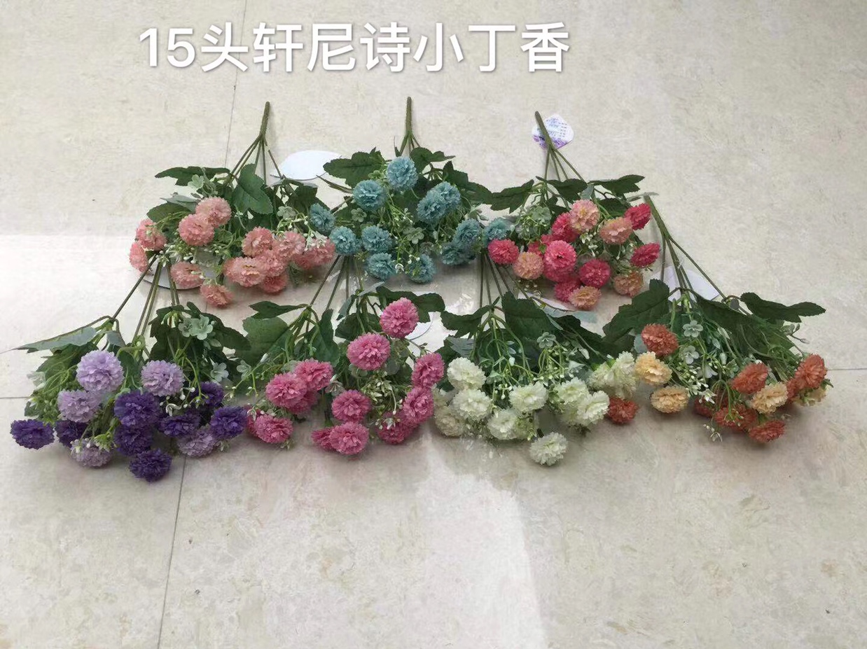 15头轩尼诗小丁香