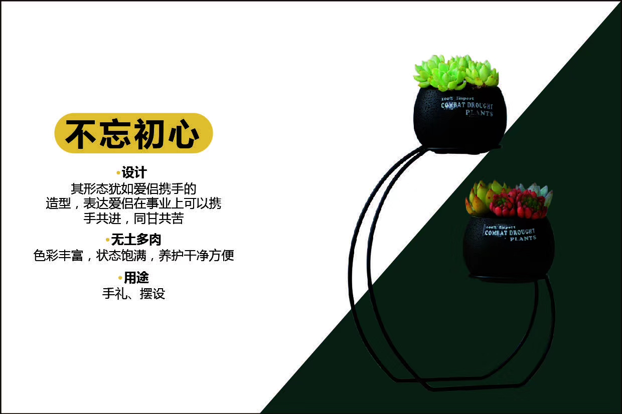 Iron frame flowerpot undefined