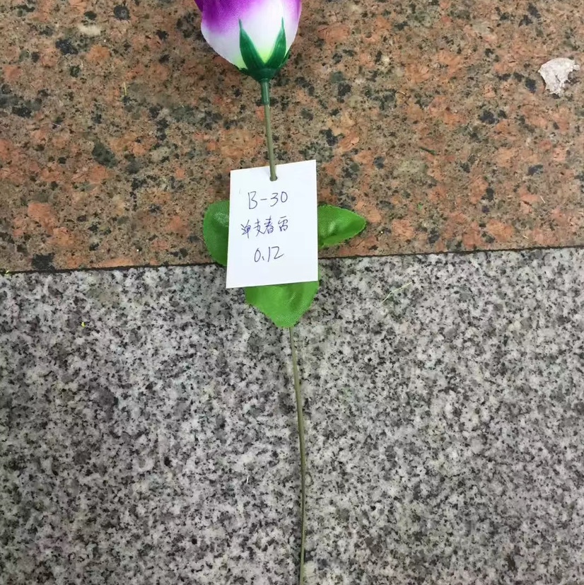 براعم الربيع