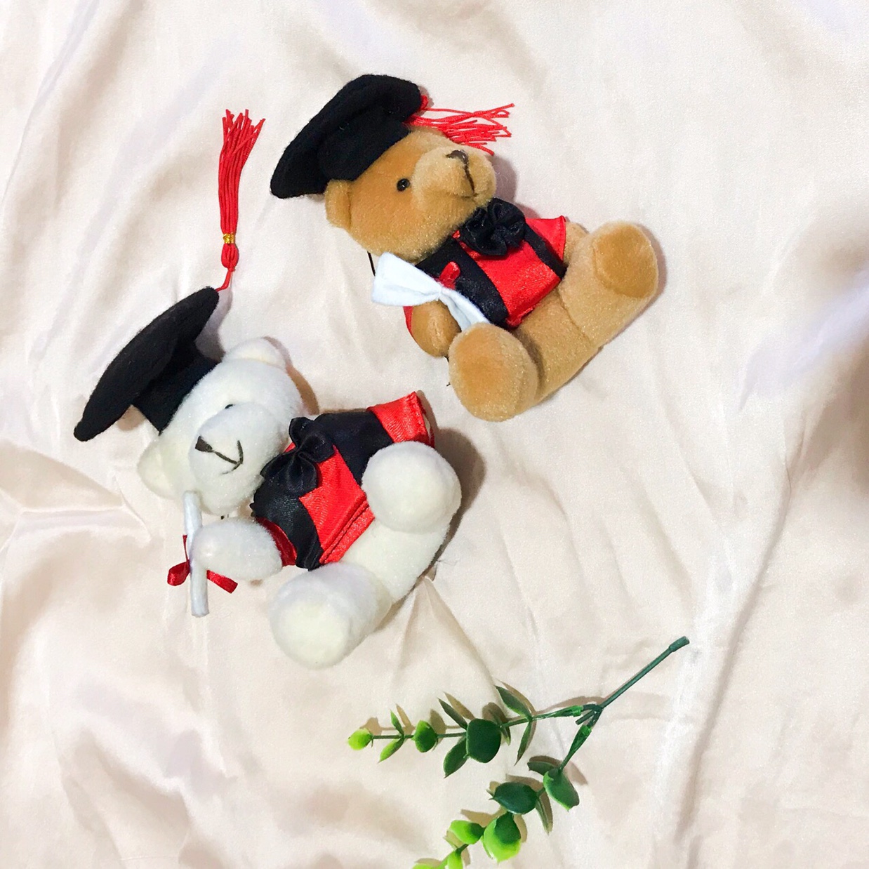 Plush toys, Doctor bear, graduation bear, pendant, doll, creative gift, gift box, packaging, clothing accessories, wedding gifts details Picture