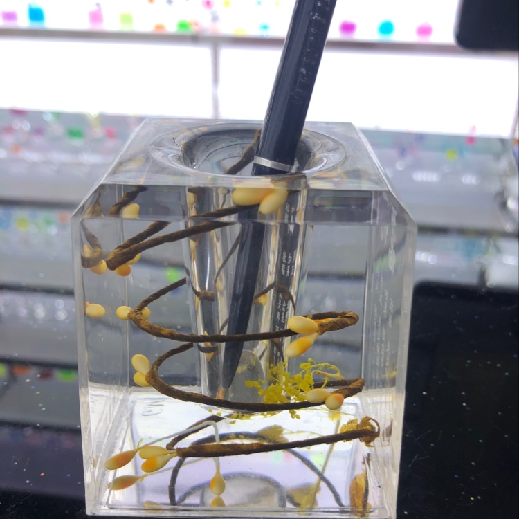 Square peach blossom brush holder thumbnail