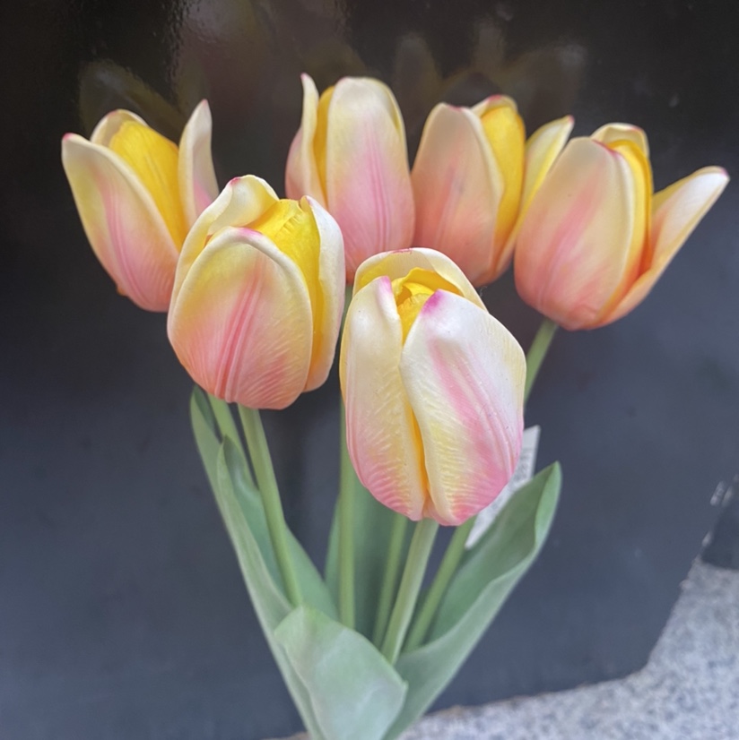 Six tulips with a touch details Picture