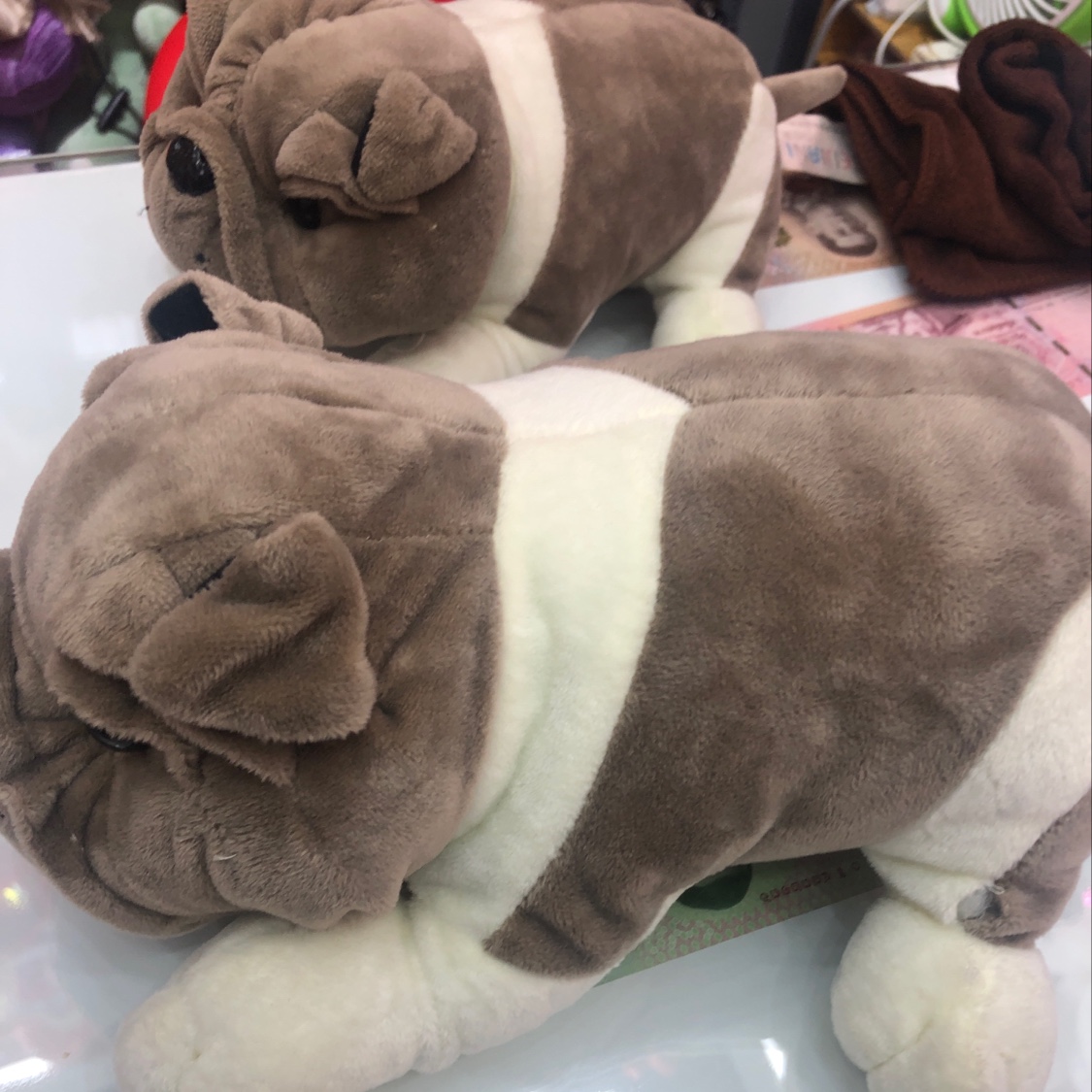 沙皮狗灰色25cm细节图