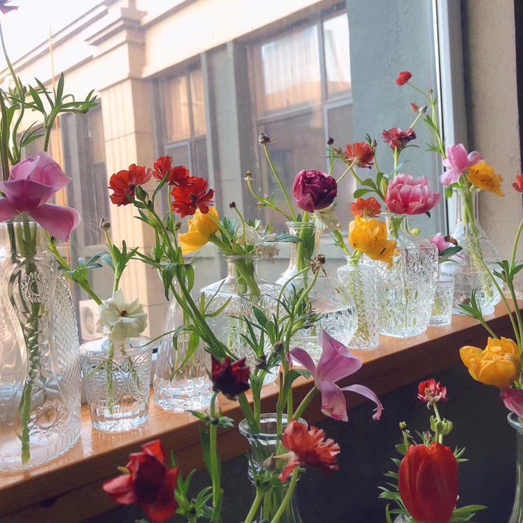 清新自然花瓶，适合各种水培植物，花卉，高18-22cm，可以清装或者混款装，图