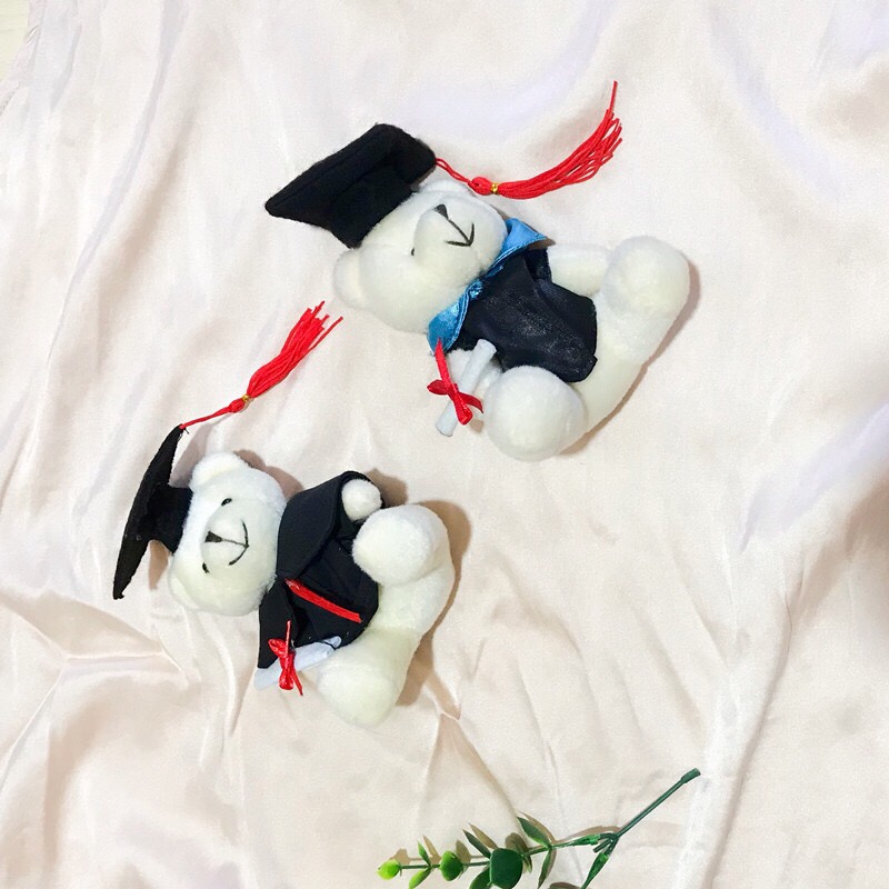 Plush toys, Doctor bear, graduation bear, pendant, doll, creative gift, gift box, packaging, clothing accessories, wedding gifts Item Picture