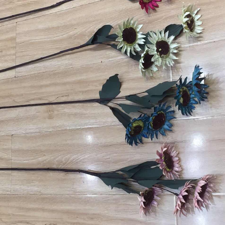 أربعة رؤوس كبيرة نحو الشمس