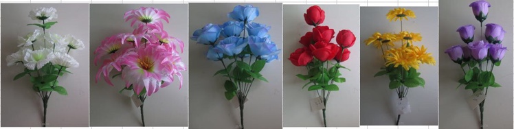 蕾
