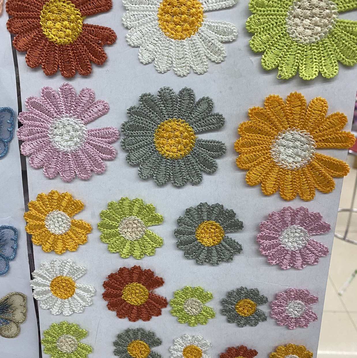 sunflower details Picture