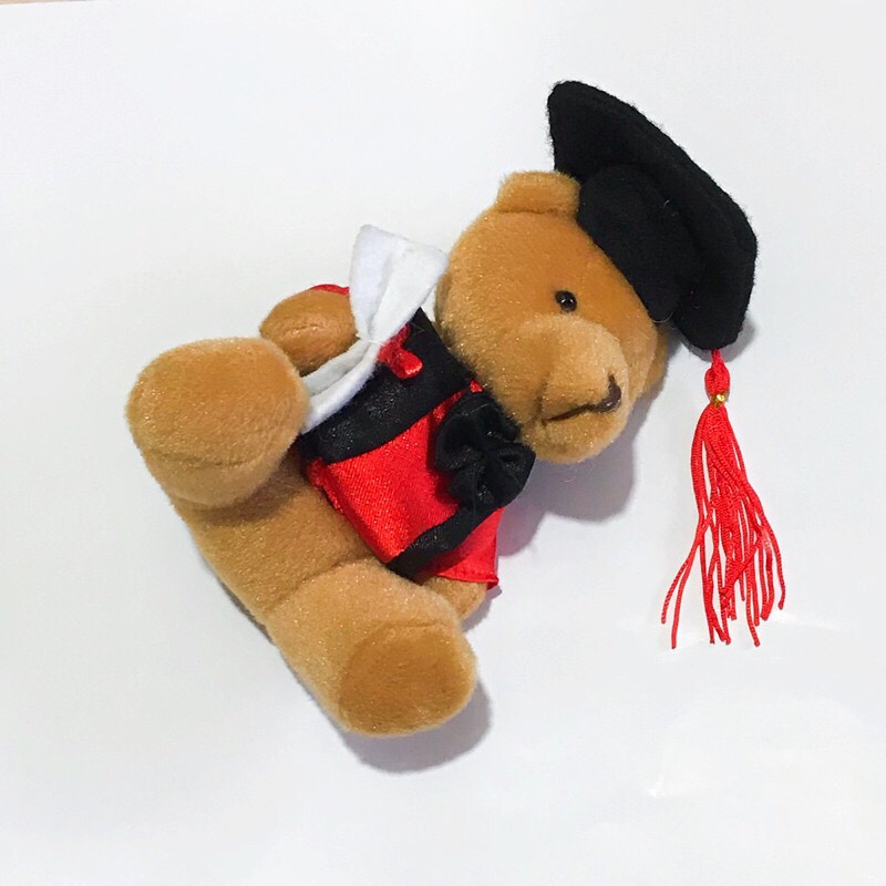 Plush toys, Doctor bear, graduation bear, pendant, doll, creative gift, gift box, packaging, clothing accessories, wedding gifts undefined