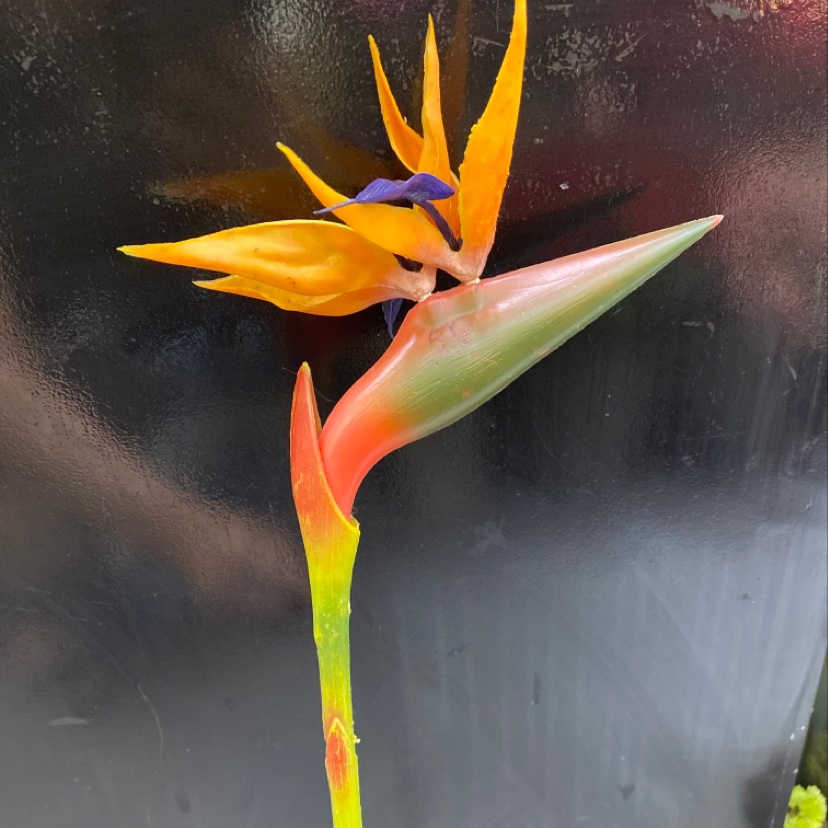 Factory direct sales, wholesale of artificial flowers, blow-molded bird of Paradise. Available in various sizes and colors. Chinese trend details Picture