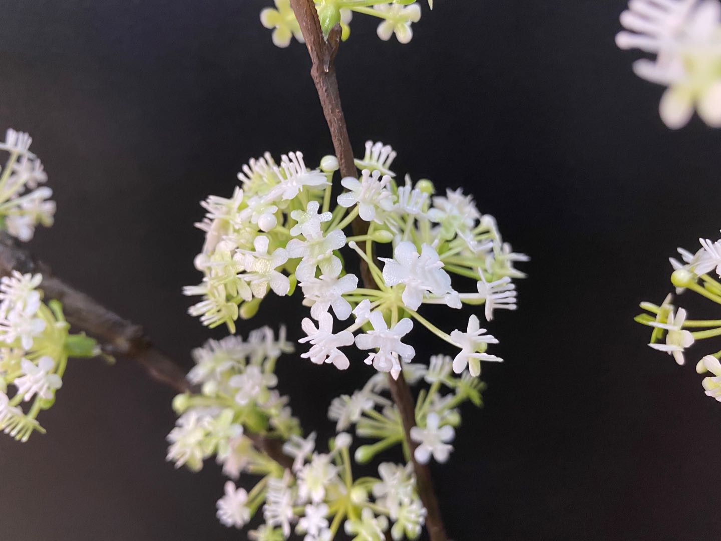 义乌好货桂花厂家直销小碎花家居摆设人造花客厅电视柜装饰假花详情图5