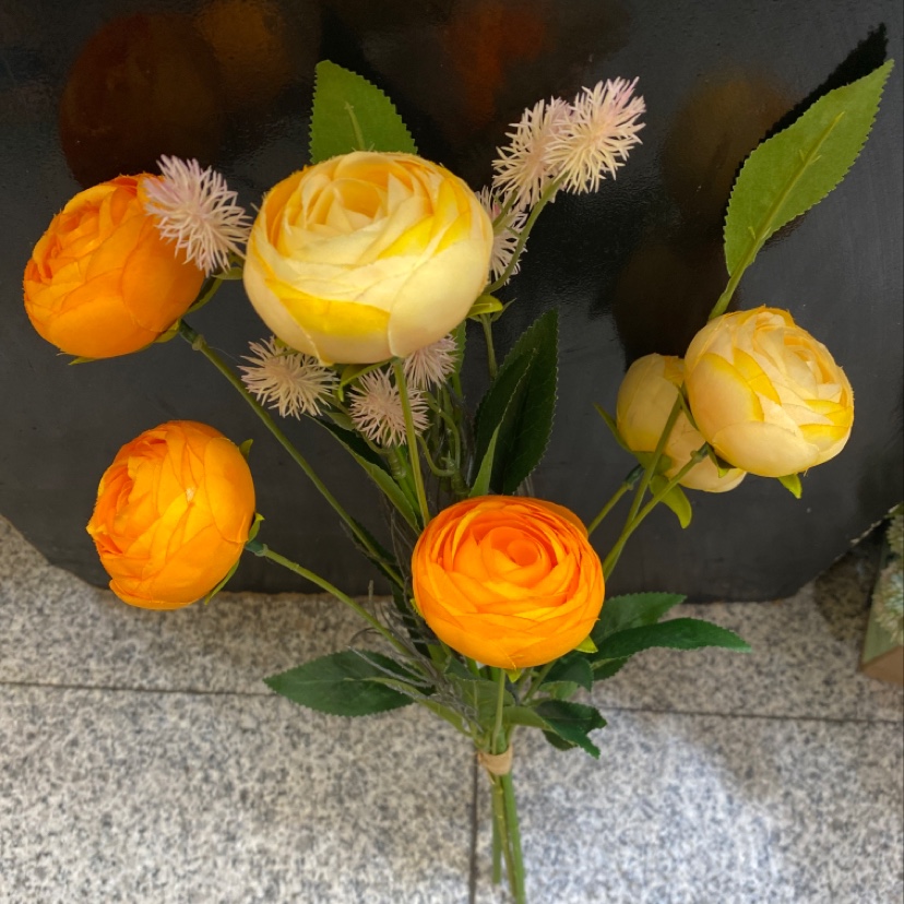 Six hands pricked the lotus details Picture