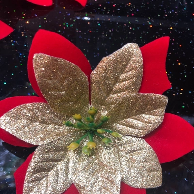 2 Christmas Flowers thumbnail