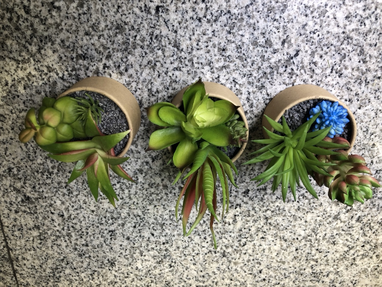 仿真植物 多肉植物 仿真盆栽花卉盆景摆件家居