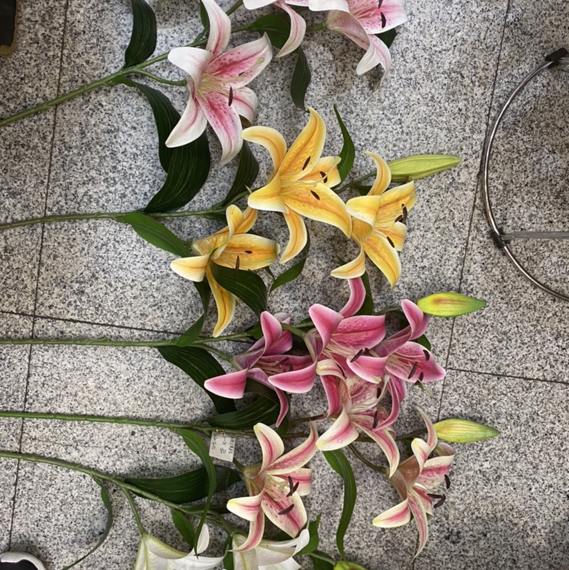 3 flowers and 1 bud 3D film lily details Picture