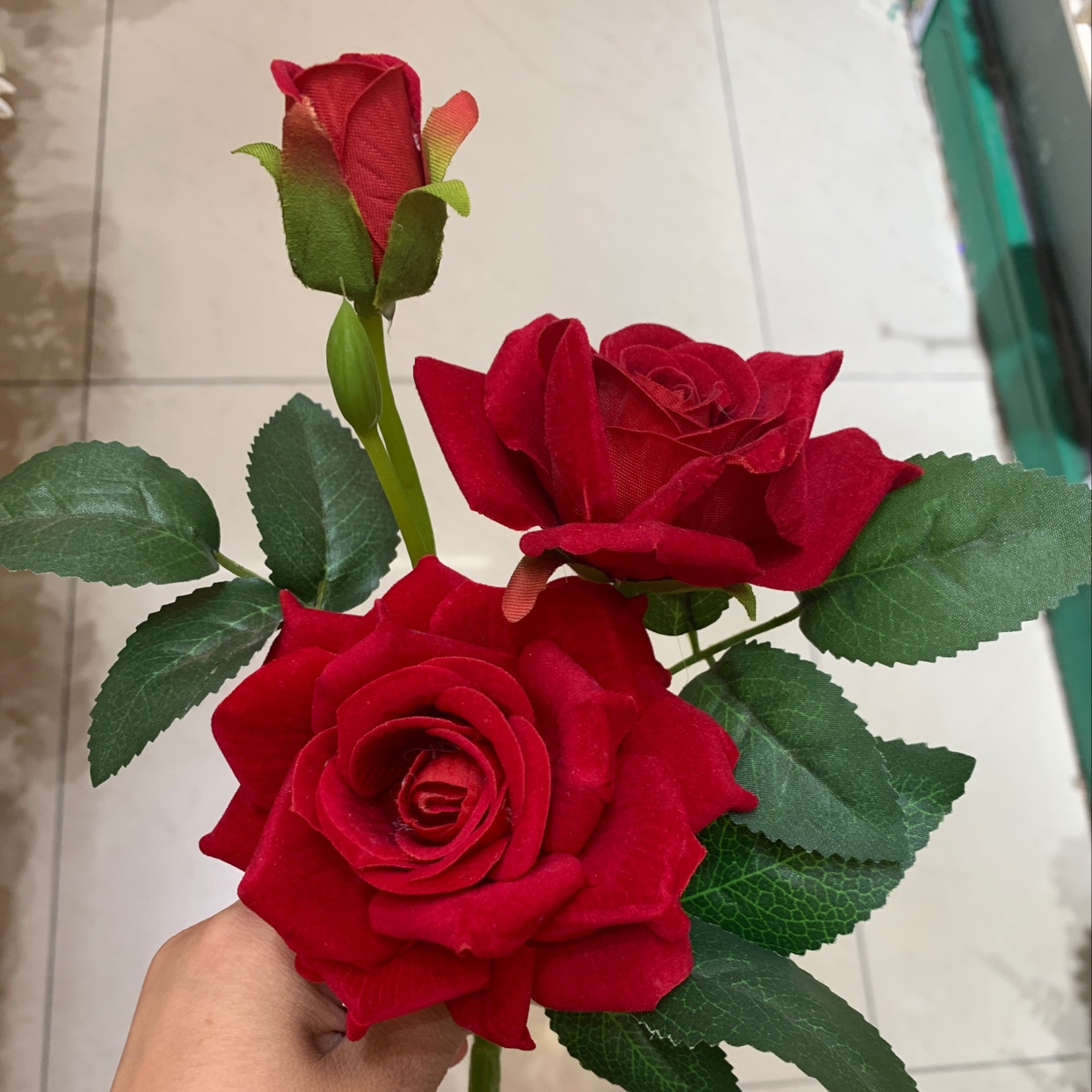 Short pole Angle rose thumbnail