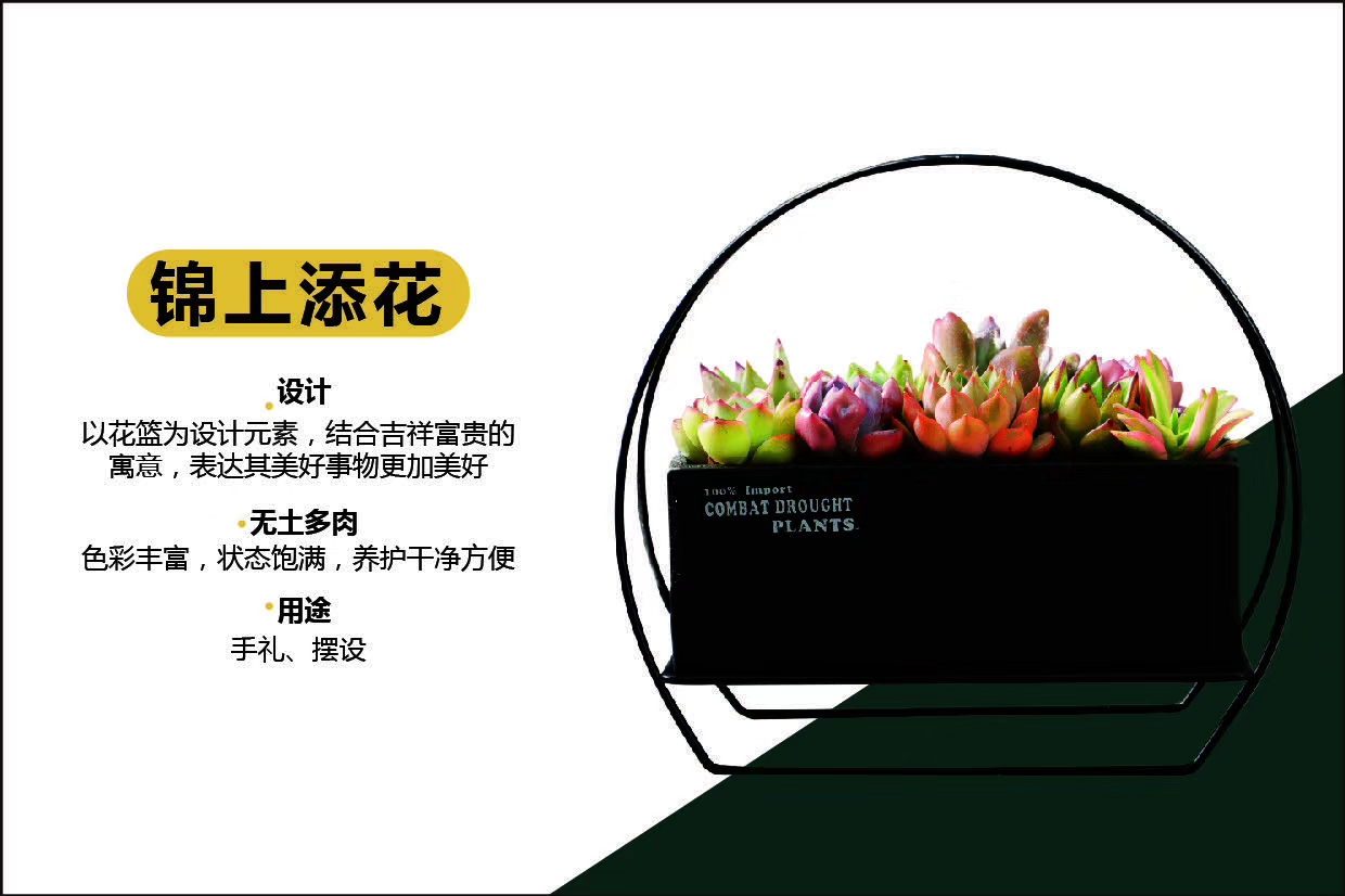 Iron frame flowerpot undefined