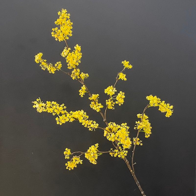 义乌好货桂花厂家直销小碎花家居摆设人造花客厅电视柜装饰假花详情图7