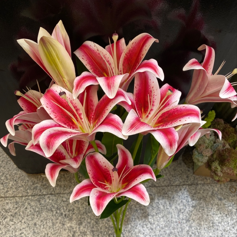 Factory direct sales of artificial flowers wholesale: 9 flowers, 3 buds 3D film lilies, 2 flowers, 1 bud film lilies details Picture