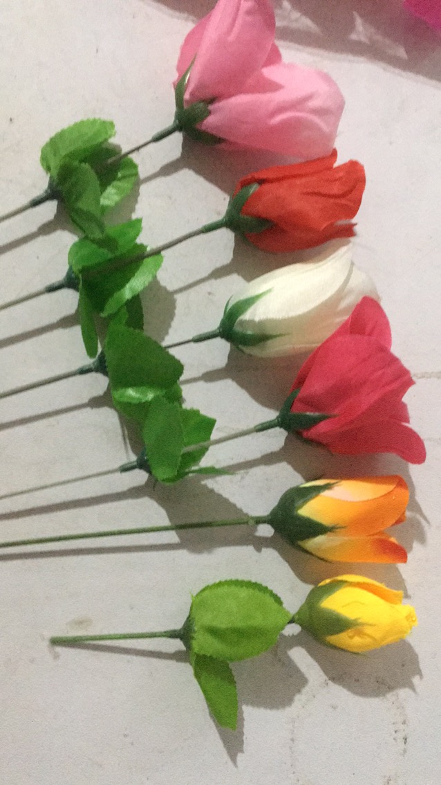 Single roses thumbnail