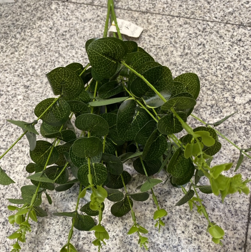 Tie the money leaves details Picture