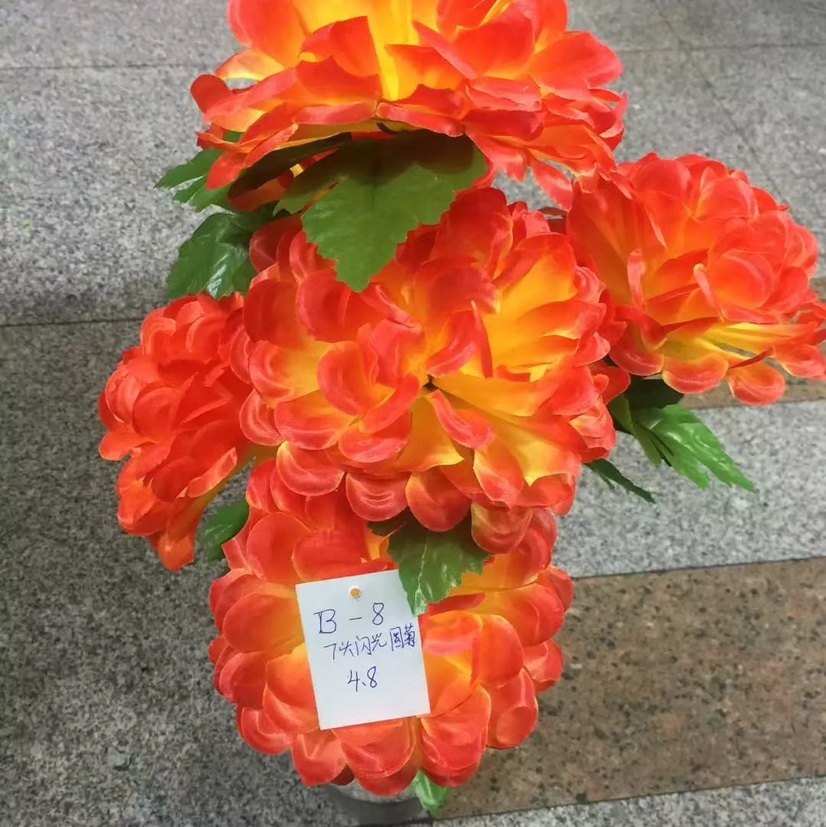 Seven shining round chrysanthemums