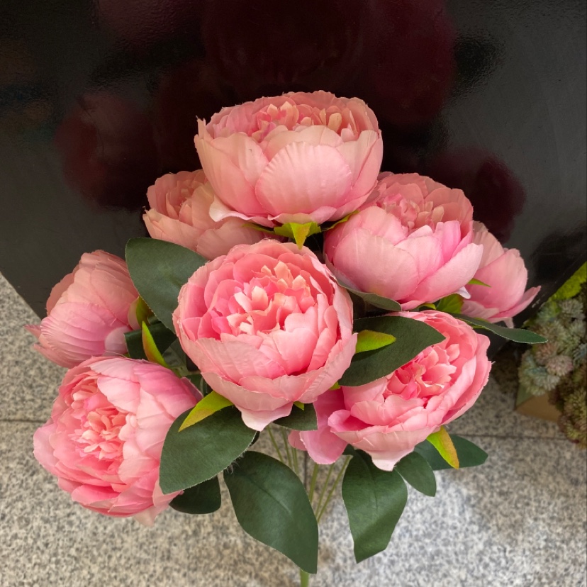 Ten peonies details Picture