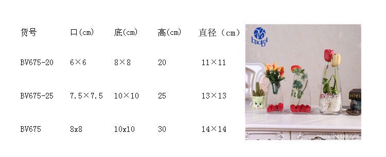 BBGLASS Baobei Glass square-mouthed transparent glass vase, wedding banquet home decoration Item Picture