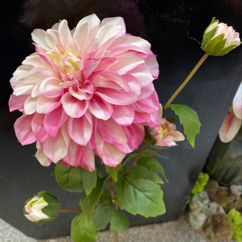 Factory direct sales of artificial flowers wholesale. 4 beautiful dahlias for indoor decoration. Multiple colors to choose from details Picture