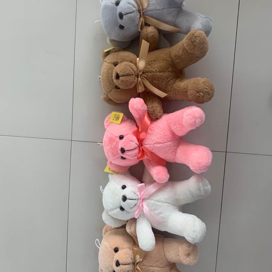 Little bear plush toy