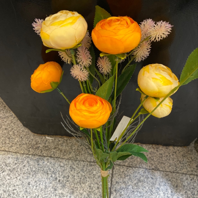 Six hands pricked the lotus