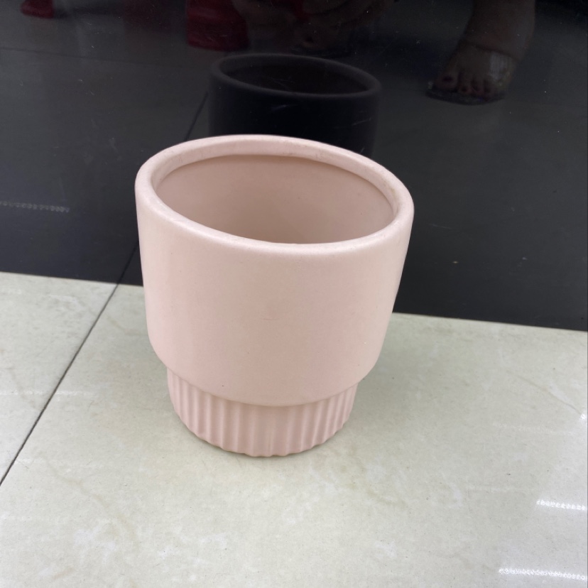 Fresh and light succulent flowerpots are sold in bulk by the box Specification image